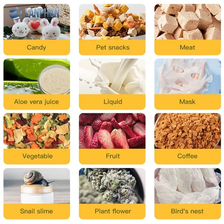 Dehydrator And Freeze Dryer
